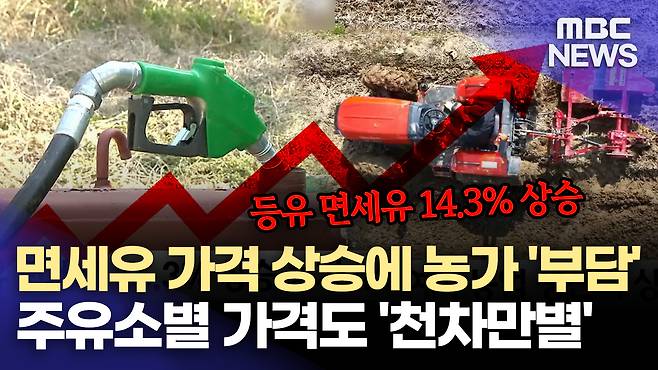 뉴스 관련 사진