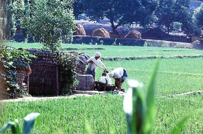 1960년대 후반 영천시 신녕면 신덕리 마을 전경 ⓒ영천시 제공