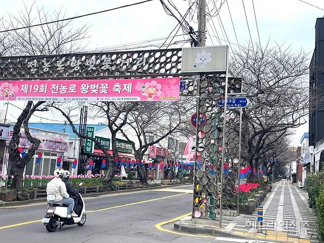 제주왕벚꽃축제 앞둔 제주시 전농로 거리. ⓒ헤드라인제주