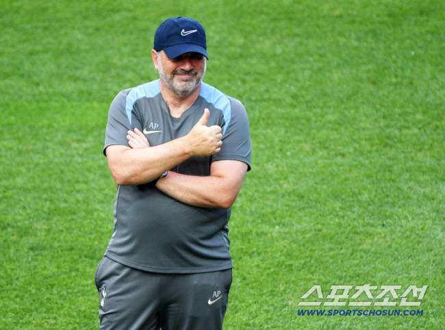 포스테코글루 스포츠조선DB