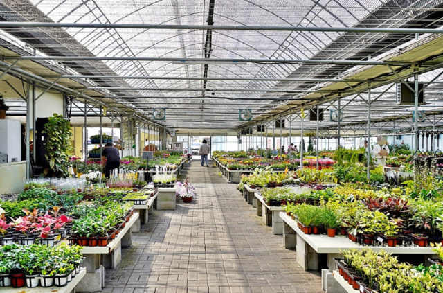 충북 음성화훼유통센터는 수도권 집중된 국내 화훼 유통 구조를 개선하고 있다. 음성화훼유통센터의 모습. 음성군