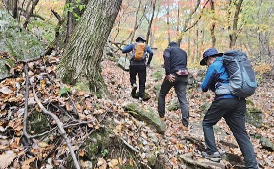 서운산 단풍길 등산