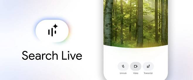 구글 서치 라이브