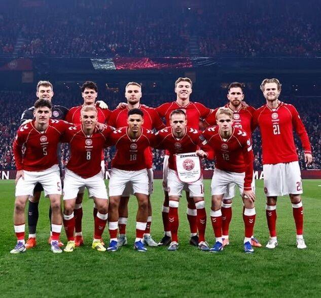 덴마크축구협회