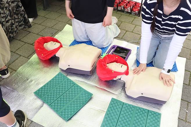 딸기모자를 쓴 심폐소생술마네킹 / 사진= 문서연 여행+ 기자