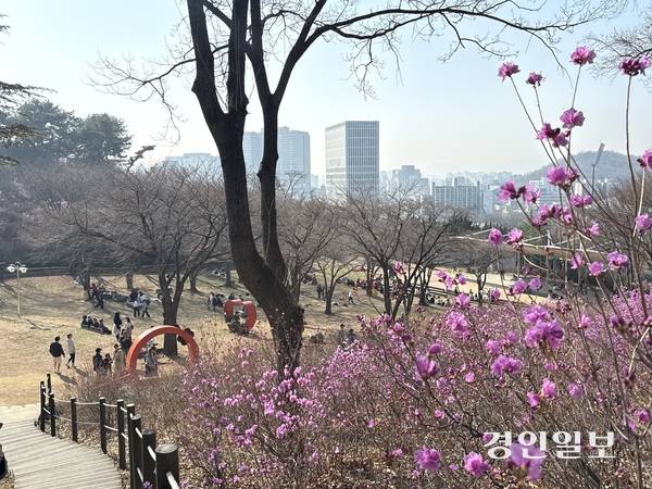 28일 부천 진달래동산을 찾은 관람객들이 산행을 마치고 잔디광장 등에 모여 앉아 따사로운 햇빛 아래 달콤한 휴식을 즐기고 있다. 2026.3.28 /김연태기자 kyt@kyeongin.com