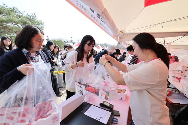 논산딸기축제장 내에 설치된 딸기판매부스에서 관광객이 논산딸기를 구입하고 있다.(사진=논산시 제공)