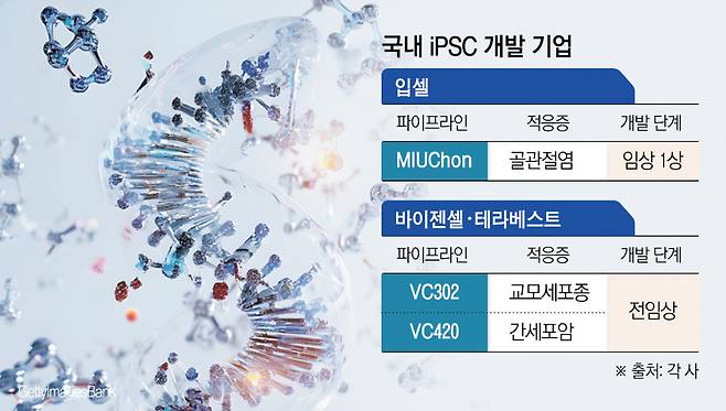 (그래픽=신미영 기자 win8226@)