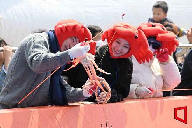 8만 인파가 증명한 영덕의 힘 대게축제 ‘미식·신뢰·체험’ 삼박자 잡았다