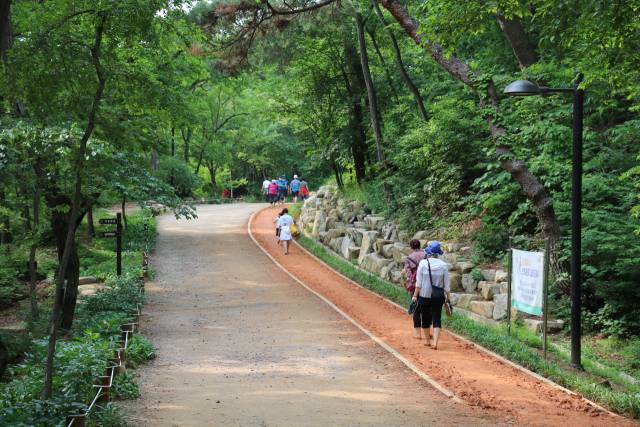 김해 분성산 생태숲 둘레길.