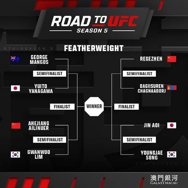UFC 로드 투 UFC 시즌5 페더급 대진표