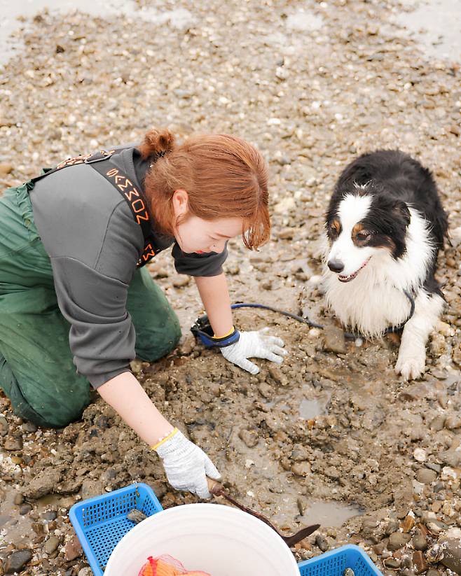 태안군이 '2026년 태안 방문의 해'를 맞아 반려동물 친화 관광도시로서의 브랜드 가치를 높이기 위해 특별한 갯벌 체험 프로그램을 마련했다.(사진=태안군 제공)