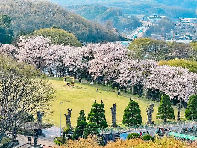 베어트리파크 봄날의 전경1.