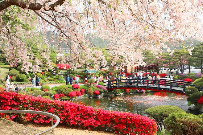 베어트리파크 봄날의 전경2.