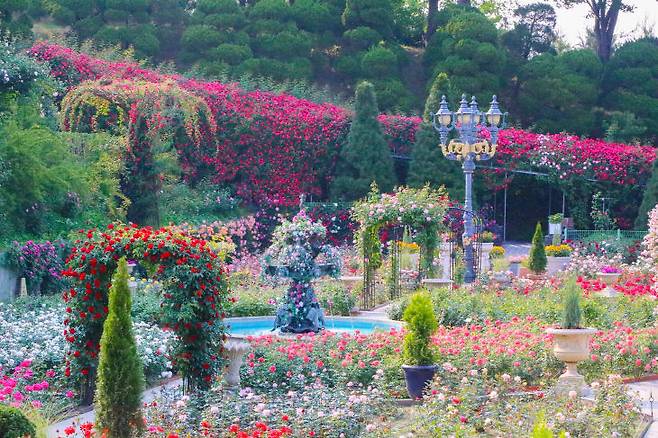 베어트리파크 봄날의 전경7.