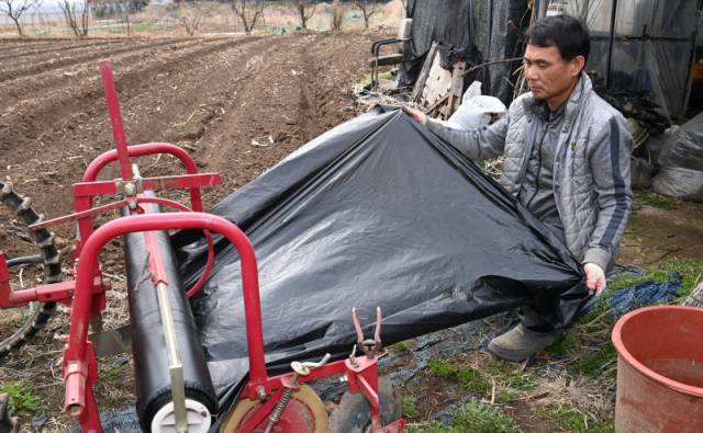 ▲ 중동전쟁 장기화로 멀칭 비닐 등 농자재 가격이 급등 조짐을 보이고 있어 농민들의 시름이 깊어지고 있다. 31일 춘천 의암리의 밭에서 농민이 멀칭 작업을 하고 있다. 방도겸 기자