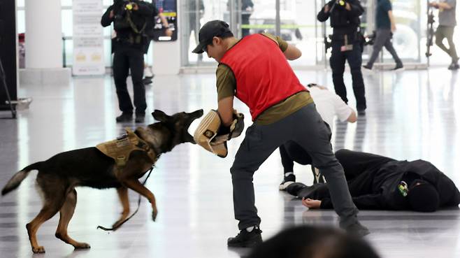 지난해 9월 'APEC 정상회의' 대비 대테러 합동훈련 중인 김해공항 모습. 기사와 직접적 관련 없는 참고 이미지. /사진=뉴시스