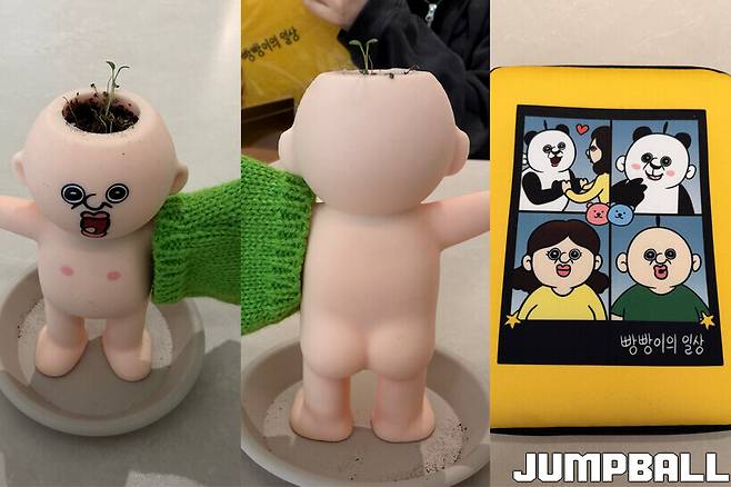 ▲이래 봬도 화분이다/ 빵빵이 캐릭터 케이스(맨 오른쪽)