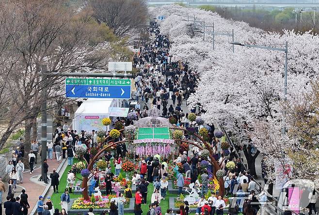 '여의도 봄꽃축제'가 열린 3일 서울 여의서로 일대에 벚꽃이 만개해 있다. 2026년 여의도 봄꽃축제는 이날부터 7일까지 5일간 개최된다. 2026.4.3 ⓒ 뉴스1 최지환 기자