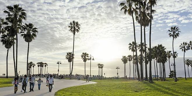 베니스 비치는 가장 LA다운 해변으로 꼽히는 곳이다. 스케이트 보드 성지로도 유명한 이곳은, 영화 ‘바비’에서 두 주인공이 롤러블레이드를 타던 장소이기도 하다. /LA 관광청