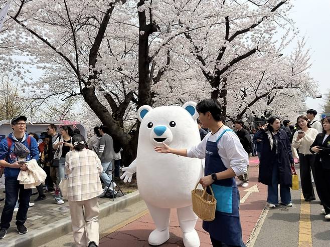 여의도 봄꽃축제 참여한 호텔스컴바인 / 사진= 문서연 여행+ 기자