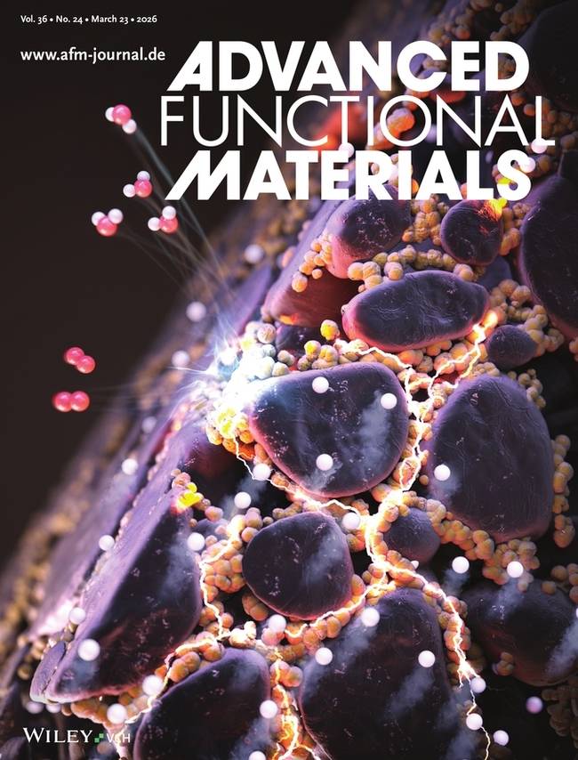 ▲ 최시혁 교수 연구팀의 연구 결과를 표지에 소개한 학술지 국제학술지 Advanced Functional Materials(IF 19.0). 금오공대 제공.
