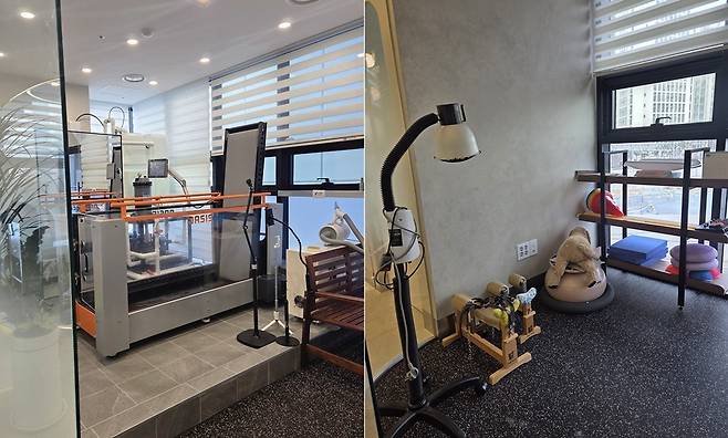 경인동물의료센터 내 재활실. 지난해 이전하면서 한방재활 영역까지 확장했다. ⓒ 뉴스1 한송아 기자