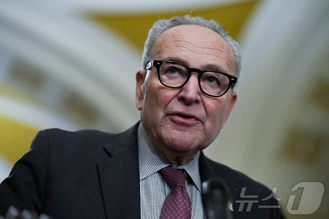 척 슈머 상원 민주당 원내대표. ⓒ 로이터=뉴스1