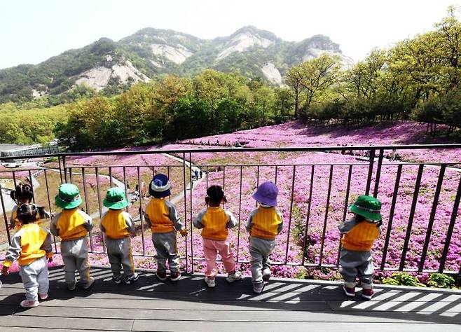 어린이집 아이들이 철쭉을 감상하고 있다. 노원구 제공.