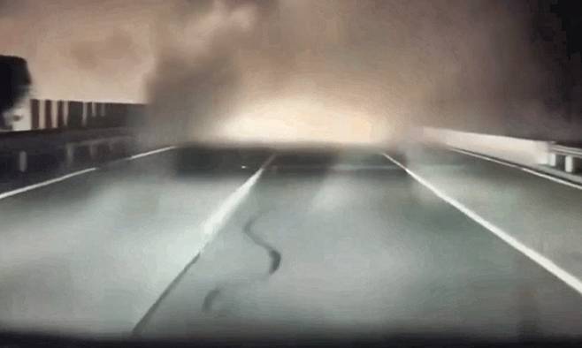 시야 확보가 불가능한 상황에서도 사고를 방지한 테슬라 전기차의 자율주행(FSD) 영상이 화제를 모으고 있다./사진=엑스(X·옛트위터)