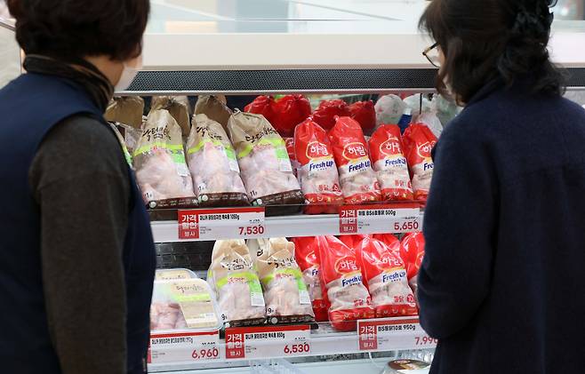 고병원성 조류인플루엔자(AI) 여파로 돼지고기와 닭고기 가격 오름세가 가파르다. 서울의 한 대형마트에서 소비자들이 닭고기를 살펴보고 있다.(신태현 기자 holjjak@)