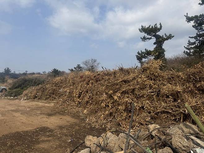 서귀포시 대정읍 영락리 일대 농지에 무단 적치된 폐목재와 토석류 등 사업장 폐기물. 제주자치경찰단은 폐기물 34t을 불법 반출한 공사 관계자 2명과 법인을 검찰에 송치했다. /사진=제주자치경찰단 제공
