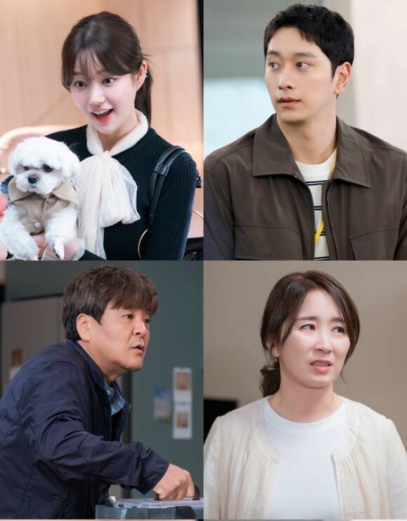 배우 이유비 황찬성 윤유선 성지루(왼쪽 위부터 시계방향)이 티빙 새 오리지널 시리즈 '유미의 세포들' 시즌3에 특별출연해 힘을 보탠다. /티빙