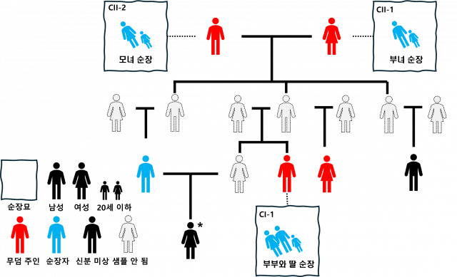 근친혼과 가족순장을 규명한 가계도 일부. (그림=서울대학교)