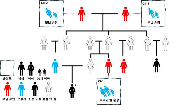 연구에서 밝혀낸 근친혼이 포함된 가계도 일부. 무덤 주인 간 유추된 가족 관계와 가족 순장이 된 경우들을 도식화했다. 서울대 제공