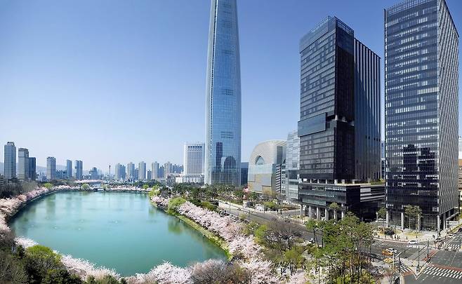 서울 석촌호수 벚꽃