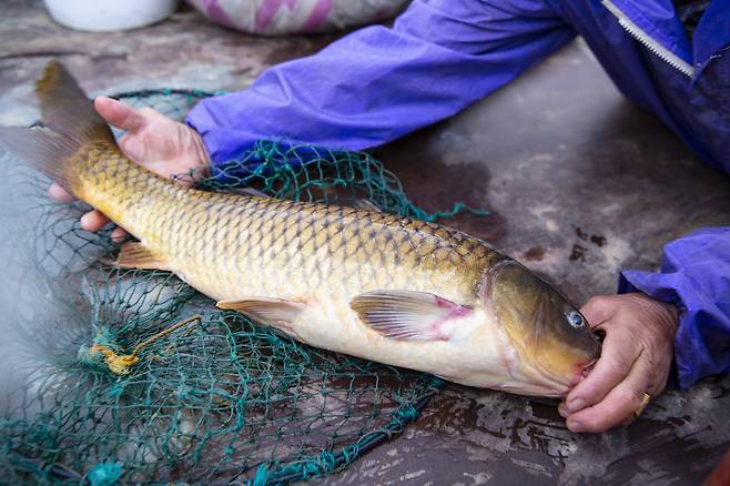기사 내용 이해를 돕기 위한 자료사진. 클립아트코리아