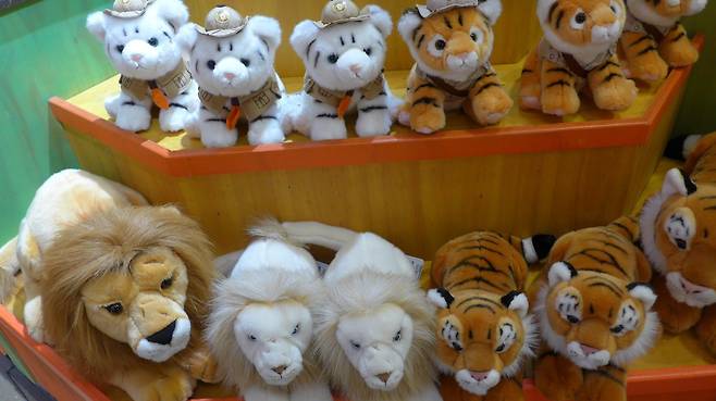 사파리월드의 굿즈상점. 사파리에서 보았던 백사자 굿즈도 있다.