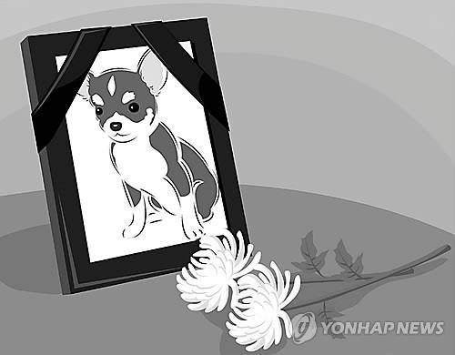 반려동물 장례(일러스트) 편집 김민준
아이클릭아트 그래픽 사용