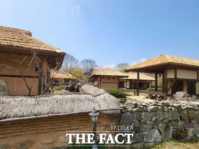 인조 자재로 대체된 지붕(뒤)과 담벼락(앞)에 설치된 전통짚이 대조된다. /김성권 기자