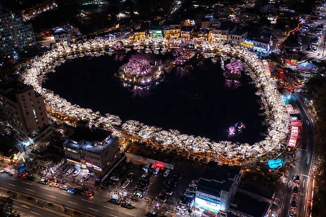 김천연화지야경./김천시제공