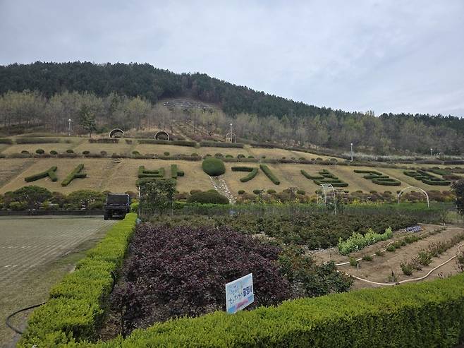 ▲ 포항 영일 사방기념공원 언덕에 '사방기념공원' 글자가 조형수로 조성돼 있다. 서의수 기자