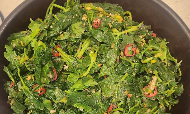 방풍은 쌈 채소나 나물무침 등 반찬으로 먹으면 제격이다. 박윤희 기자