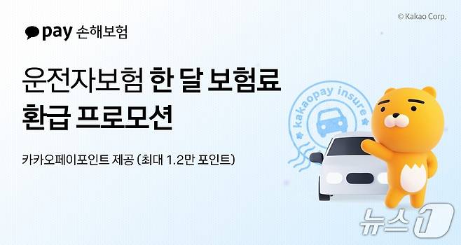 카카오페이손해보험 제공