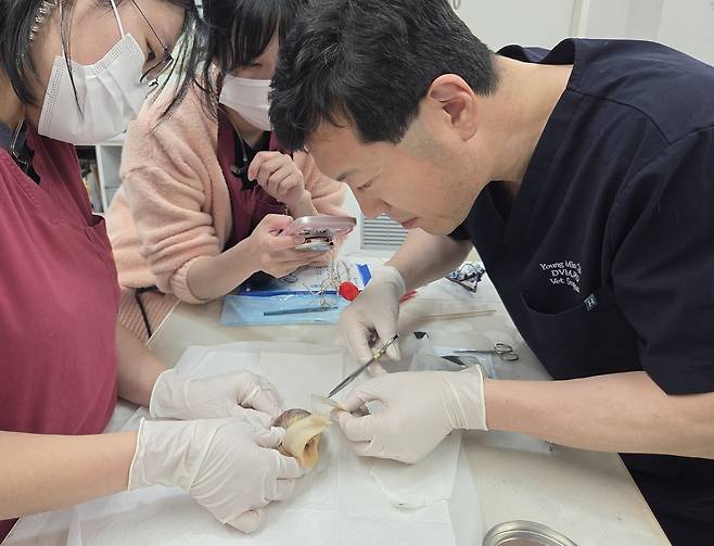 최명민 월드펫동물메디컬센터 원장(오른쪽)이 아프리카 달팽이 진료를 보고 있다. ⓒ 뉴스1