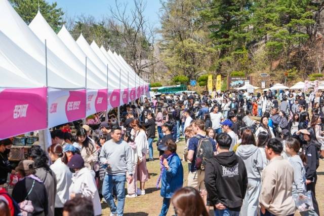 ▲ 지난 11~12일 열린 속초영랑호 벚꽃축제 행사장에 시민과 관광객이 몰려 성황을 이뤘다.