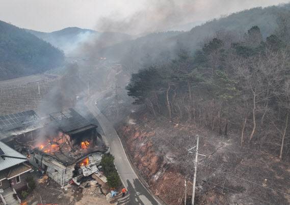 지난해 3월 경북 의성군 안평면 괴산리에서 발생한 산불이 급격하게 확산하는 가운데 한 주택 건물이 산불이 옮겨붙어 소실돼 있다.(사진=연합뉴스)