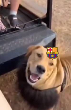 강아지로 변신한 장면 캡처=아틀레티코 마드리드 구단 공식 X