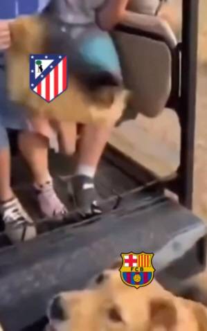 강아지로 변신한 모습 캡처=아틀레티코 마드리드 구단 공식 X