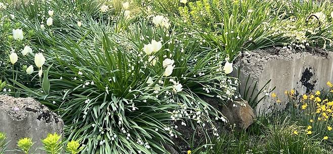 ‘베케 정원’ 입구에 있는 ‘폐허 정원’의 일부. 제미란 제공